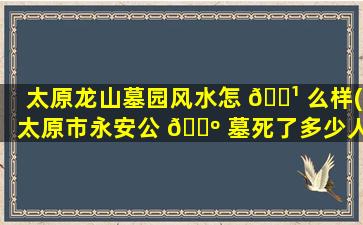 太原龙山墓园风水怎 🌹 么样(太原市永安公 🐺 墓死了多少人)